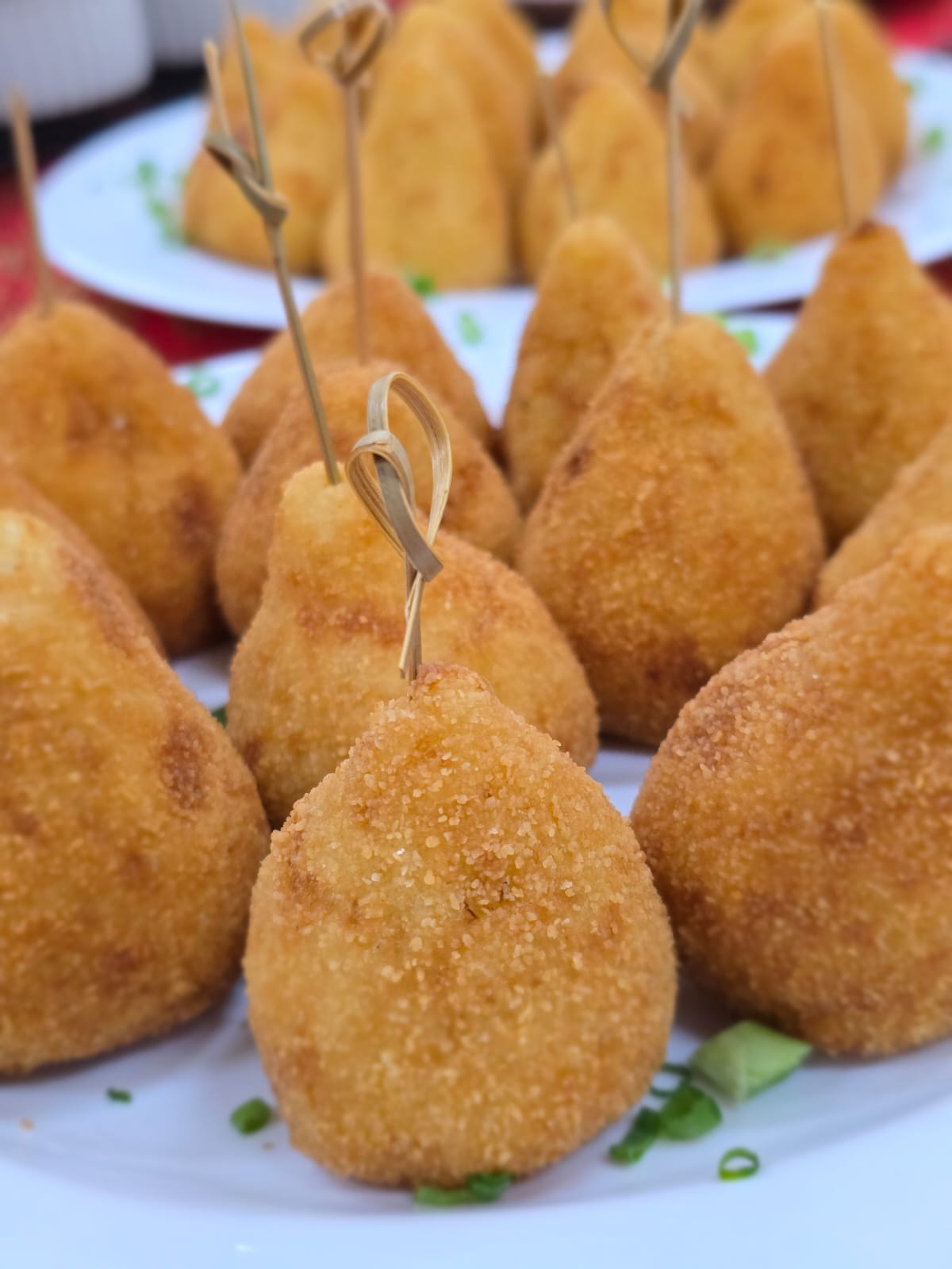 Cultivo de Mandioca de Mesa 